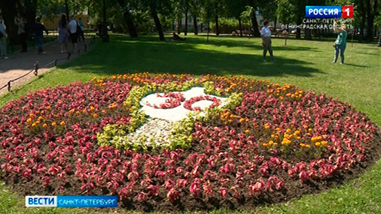 Александровский сад в санкт петербурге